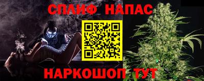 Альфа ПВП Малгобек