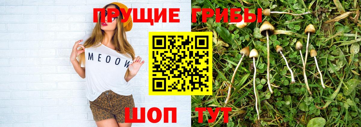 Псилоцибиновые грибы ЛСД  Вход с VPN  Уссурийск 