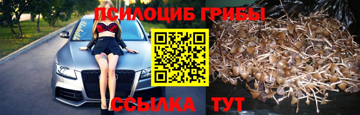 Галлюциногенные грибы Magic Shrooms Уссурийск